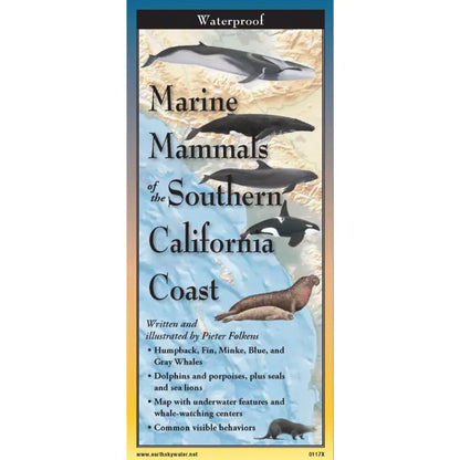 Marine Mammals of Southern California