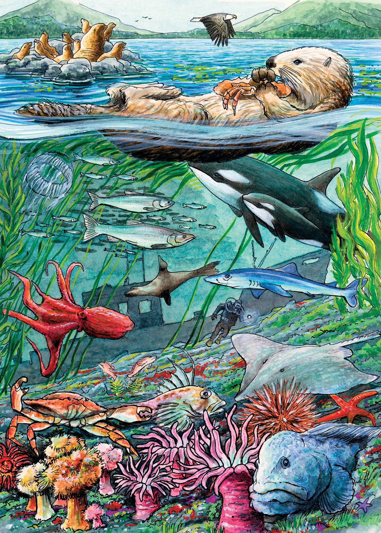 Life on the Pacific Ocean (tray) 35pc puzzle
