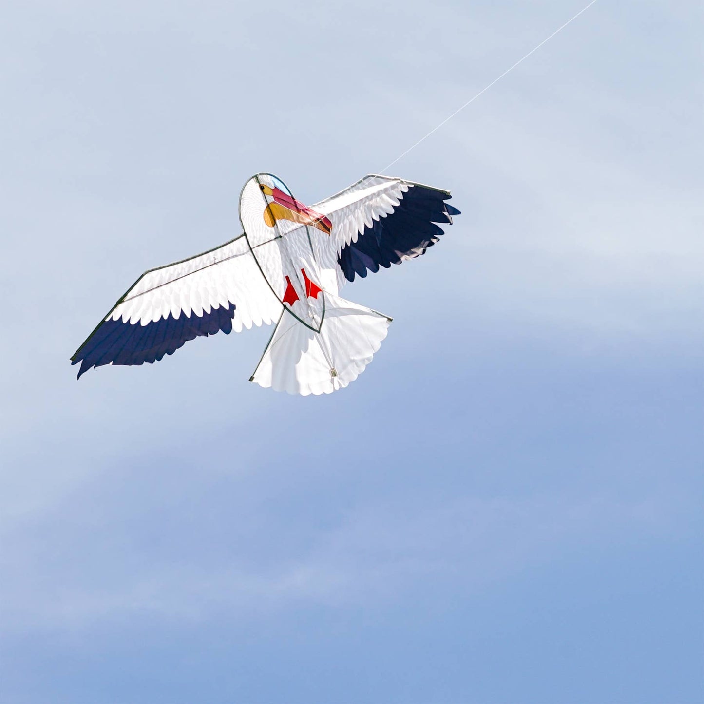 70" Pelican Kite