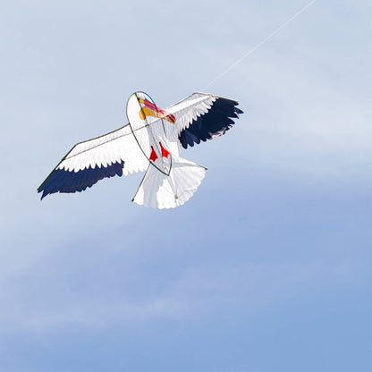 70" Pelican Kite