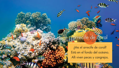 En el océano