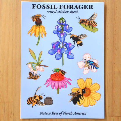 Native Bees of North America Sticker Sheet
