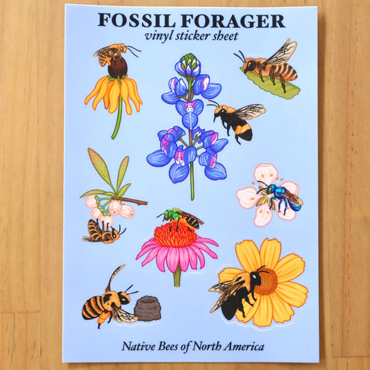 Native Bees of North America Sticker Sheet