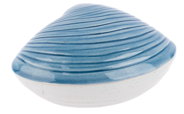 Painted Shell Trinket Box