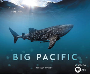 BIG PACIFIC