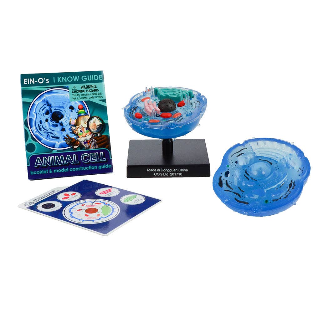 Animal Cell
