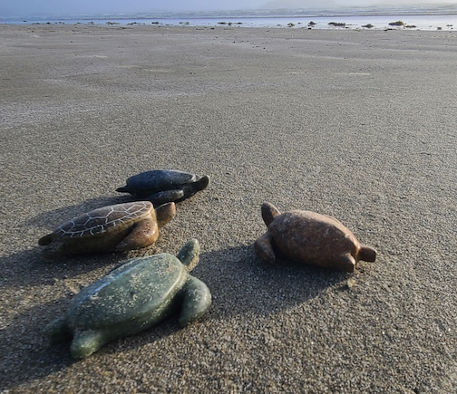 Sea Turtle Soapstone Carving Kit 