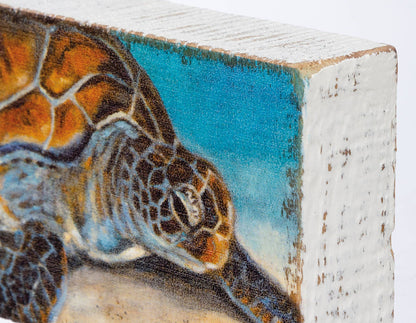 Sea Turtle Block Sign