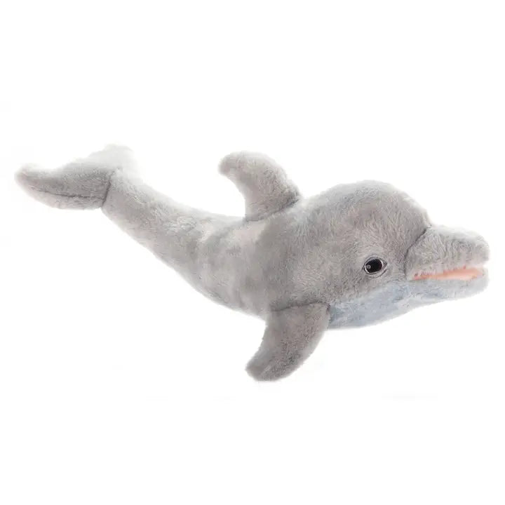 Dolphin 20"