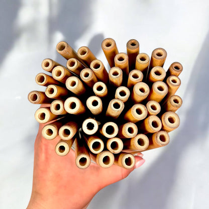 Bulk Individual Bamboo Straws | Travel Bestseller