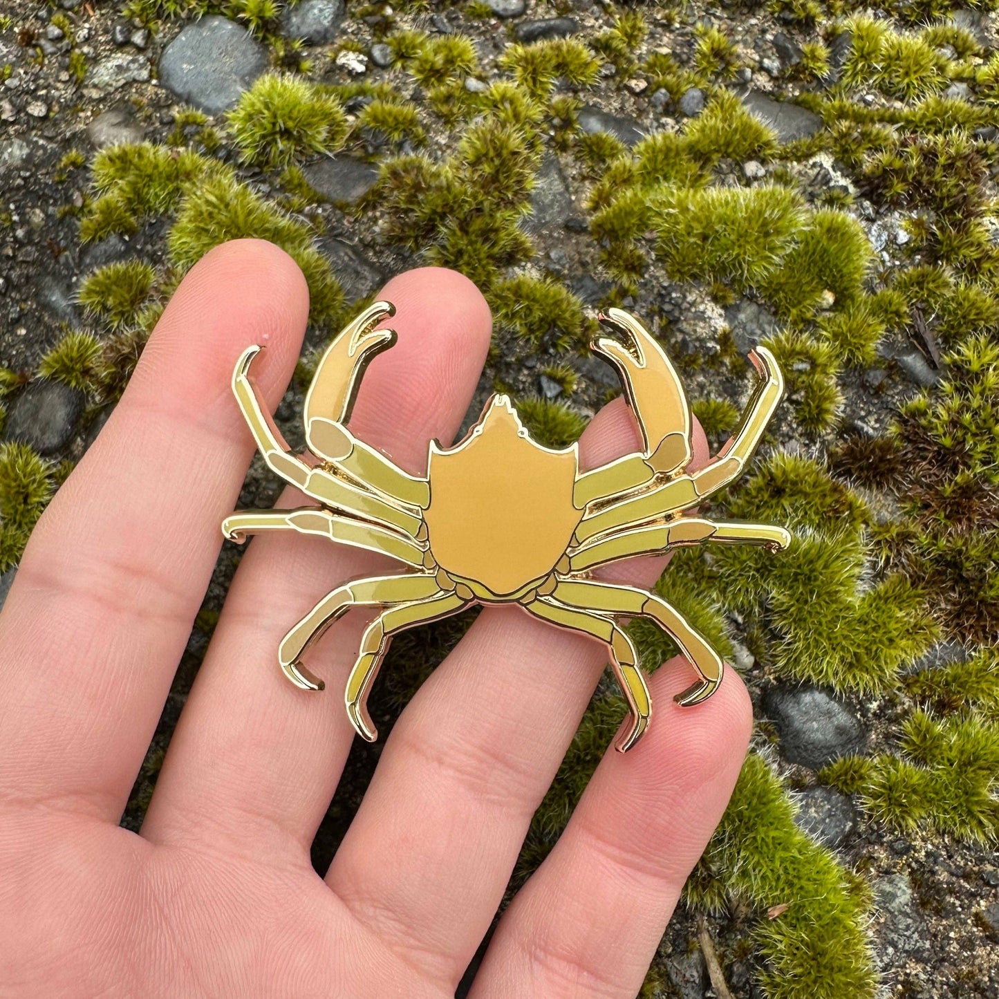 Kelp Crab Enamel Pin - 25% to Charity!