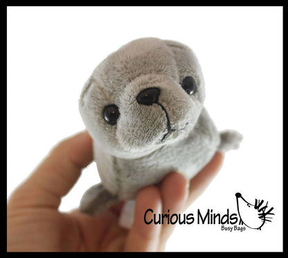 Cute Grey Harbor Seal Plush Stuffed Animals- Adorable