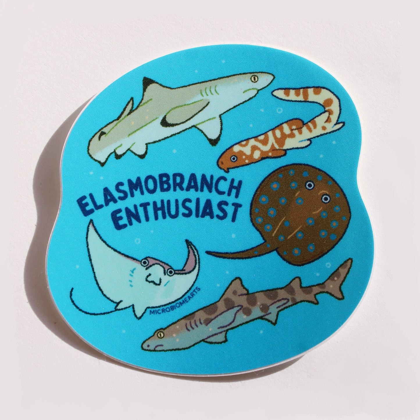 Elasmobranch Enthusiast 3” Sticker 