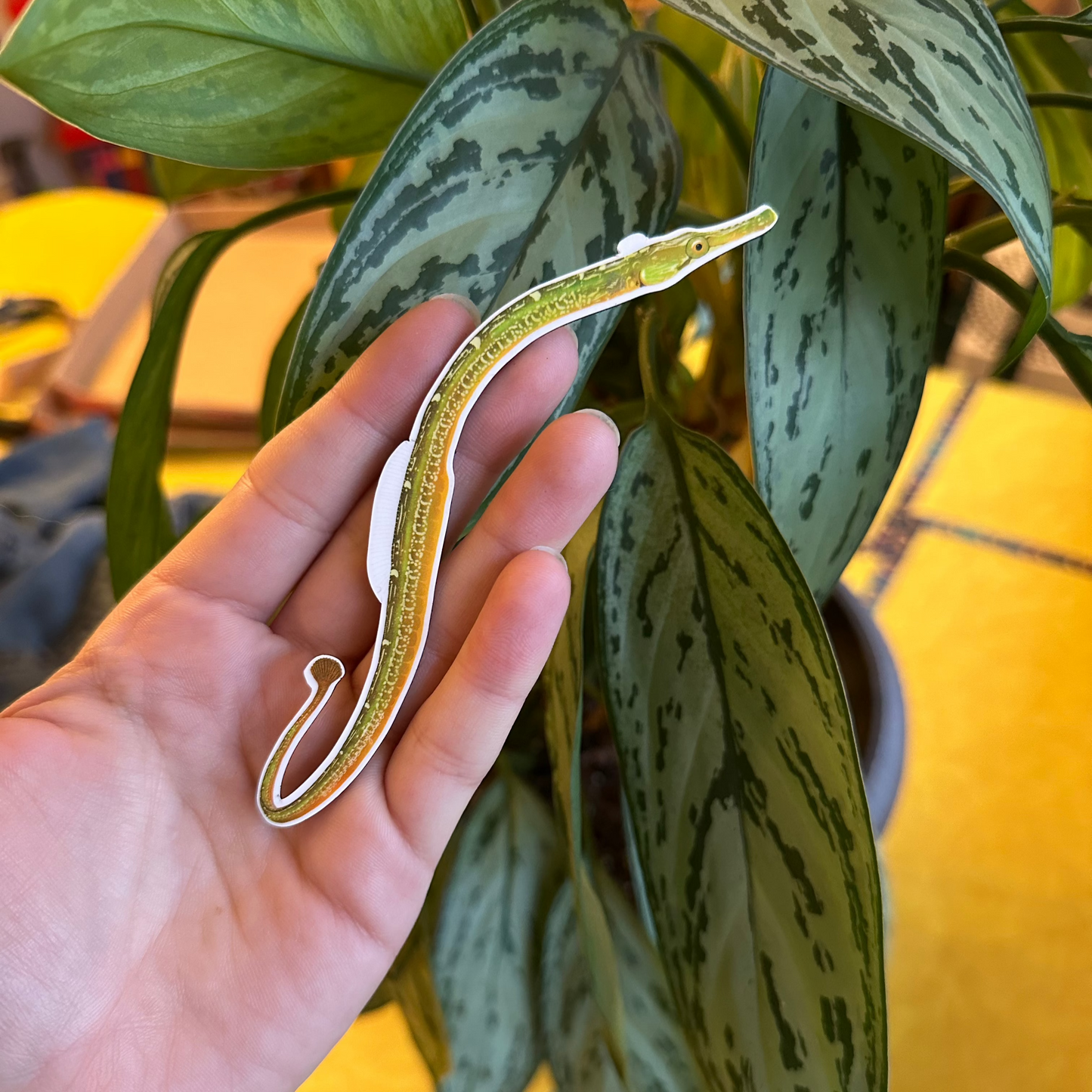 SUPER LIMITED EDITION! Bay Pipefish Magnet (5 inches)
