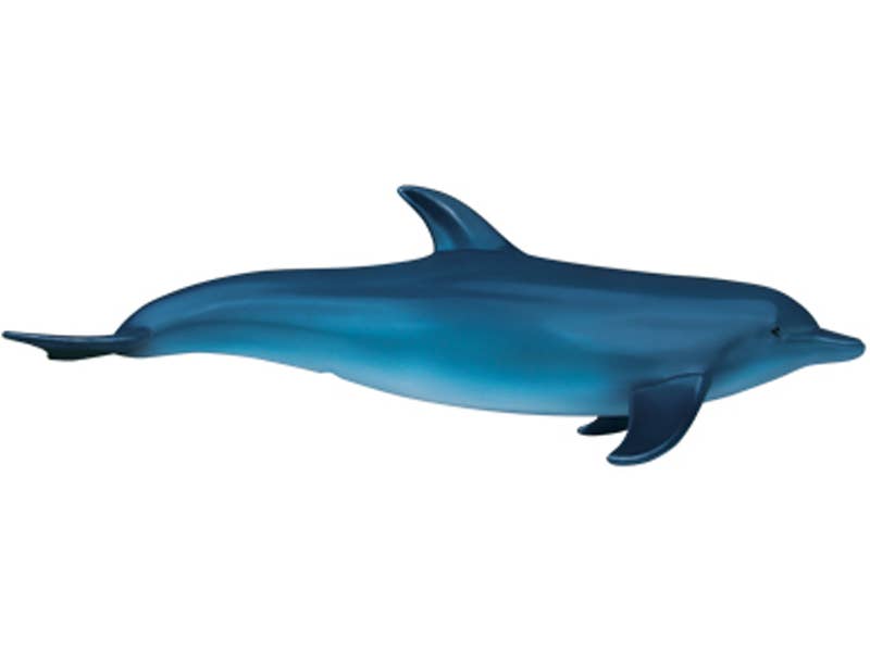 4D Dolphin