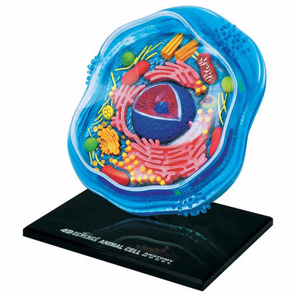 4D Science Animal Cell