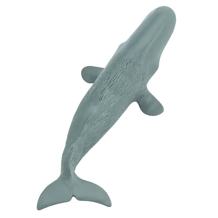Grey SPERM WHALE