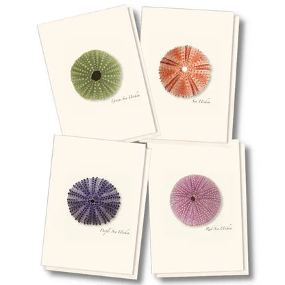 Notecard Set