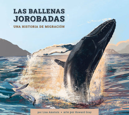 Las ballenas jorobadas: Una historia de migración