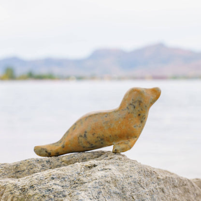 Seal Soapstone Carving Kit