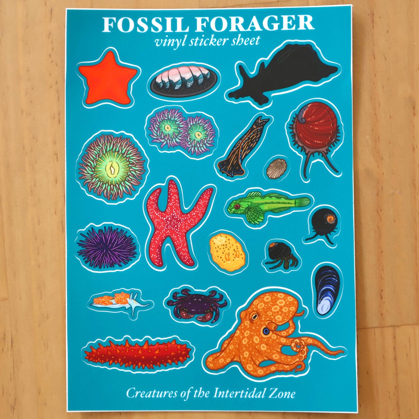 Creatures of the Intertidal Zone Sticker Sheet