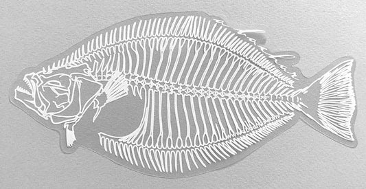 Halibut Skeleton - 8"