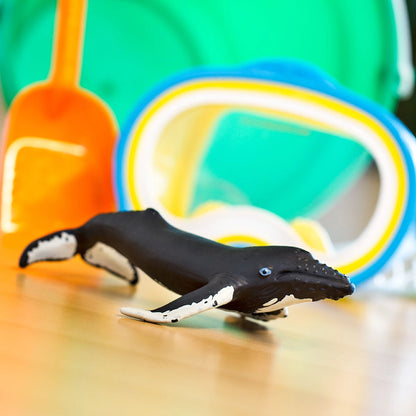 HUMPBACK WHALE