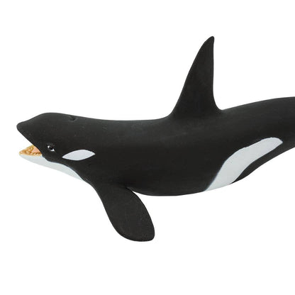 Killer Whale