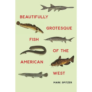 BEAUTIFULLY GROTESQUE FISH