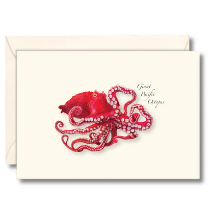 Notecard Set
