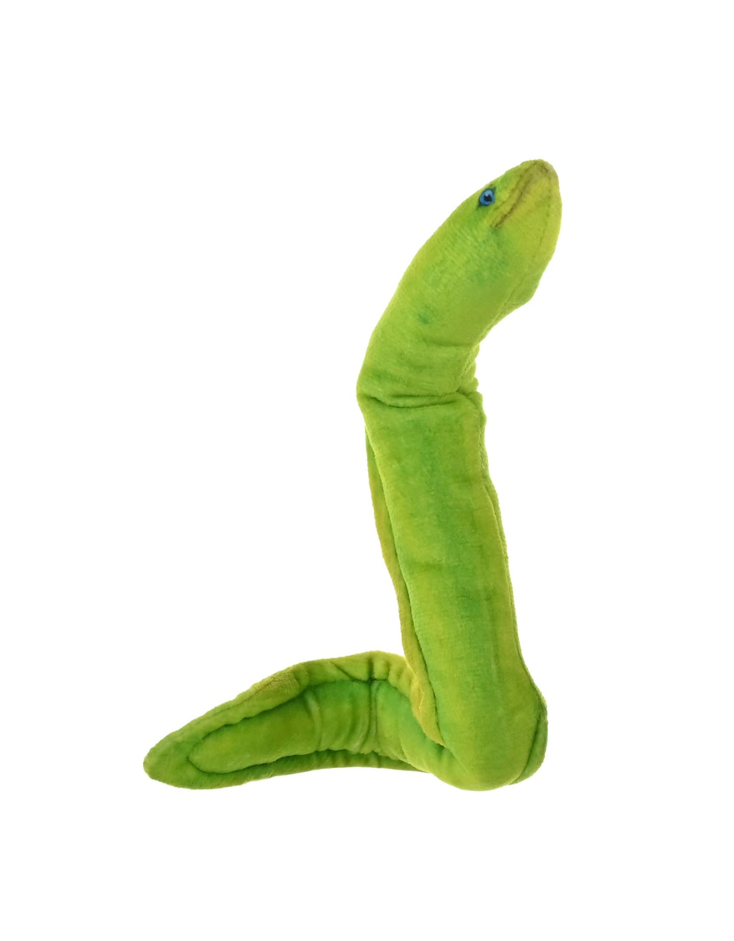 Coilkins Green Moray Eel Stuffed Animal 12"