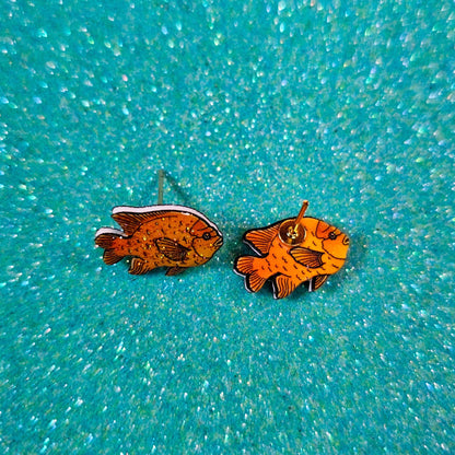 Garibaldi Fish Stud Earrings in Shrink Plastic UV Resin