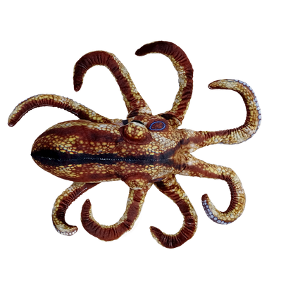 Octopus Aquatic Ocean Plush 10" Stuffed Animal