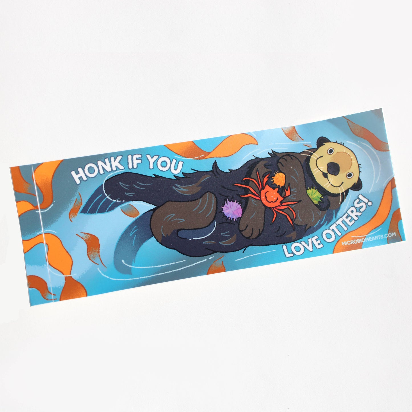 Sea Otter Bumper Sticker