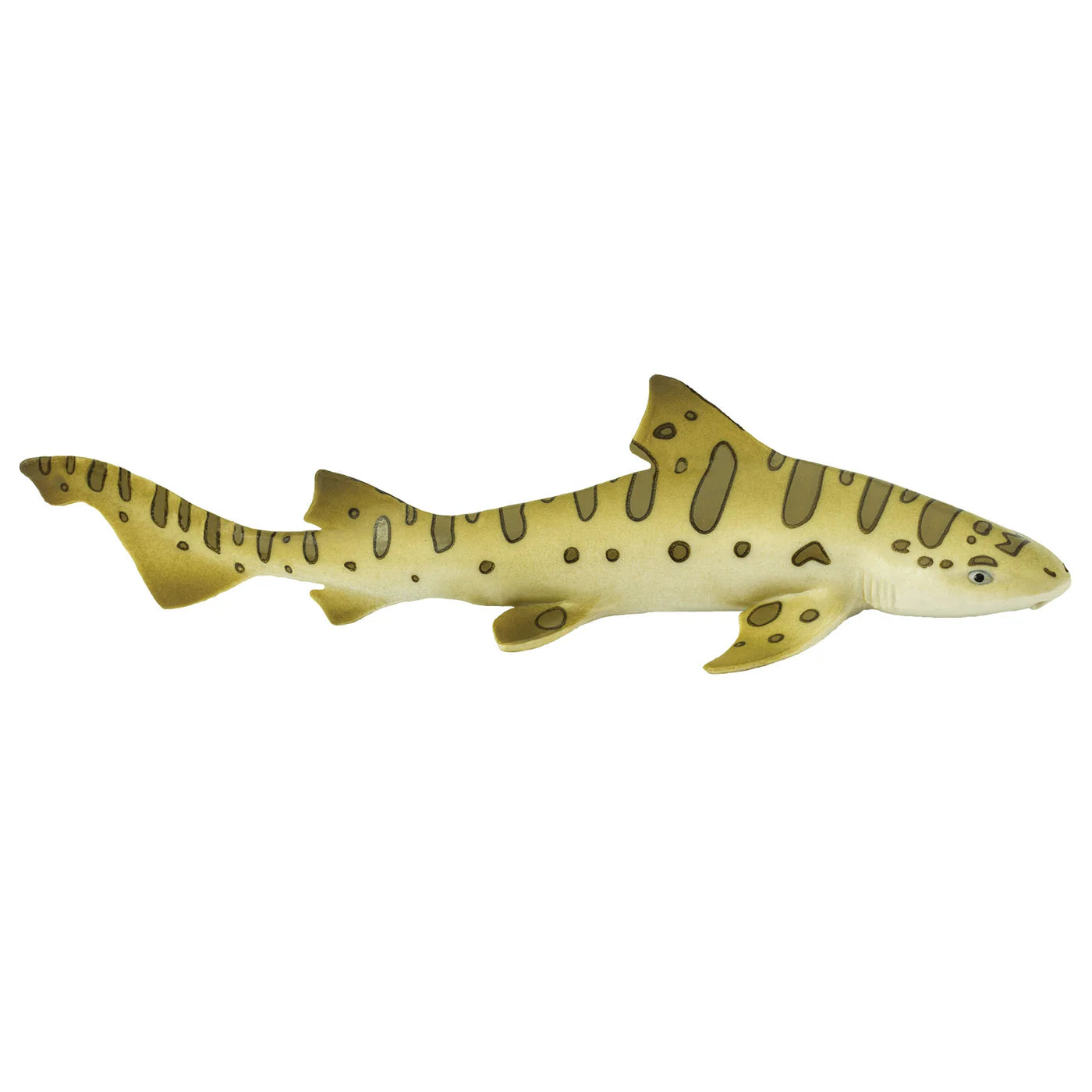 LEOPARD SHARK