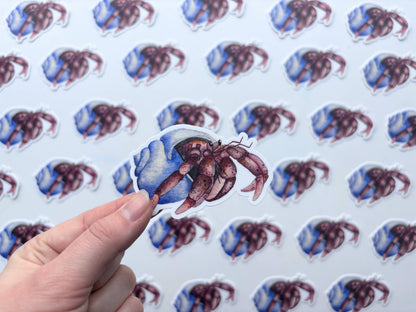 Hermit Crab Vinyl Sticker - Ocean Beach Pet