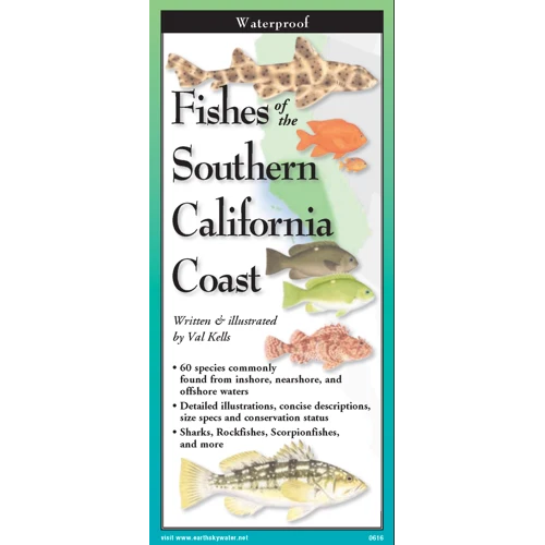 Fishes of the Southern California Coast