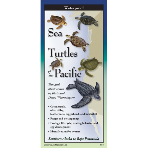 Sea Turtles of the Pacific