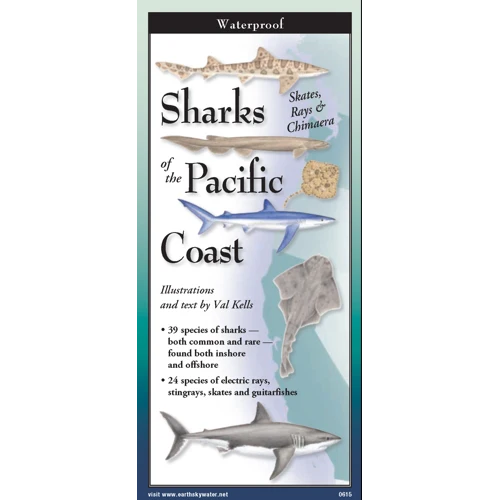Sharks, Skates, Rays & Chimaera of the Pacific Coast