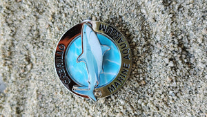 SPIN SHARK MAGNET