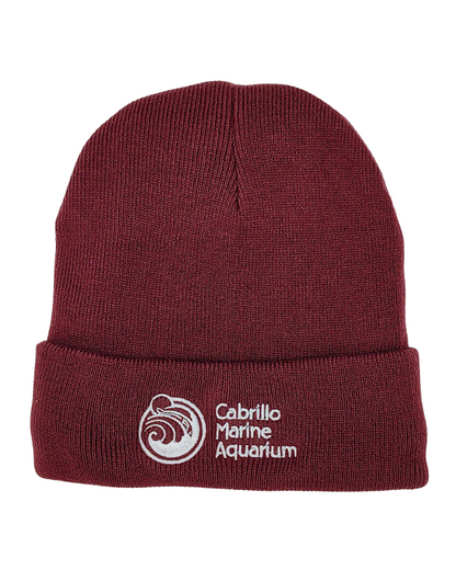 CMA Beanies