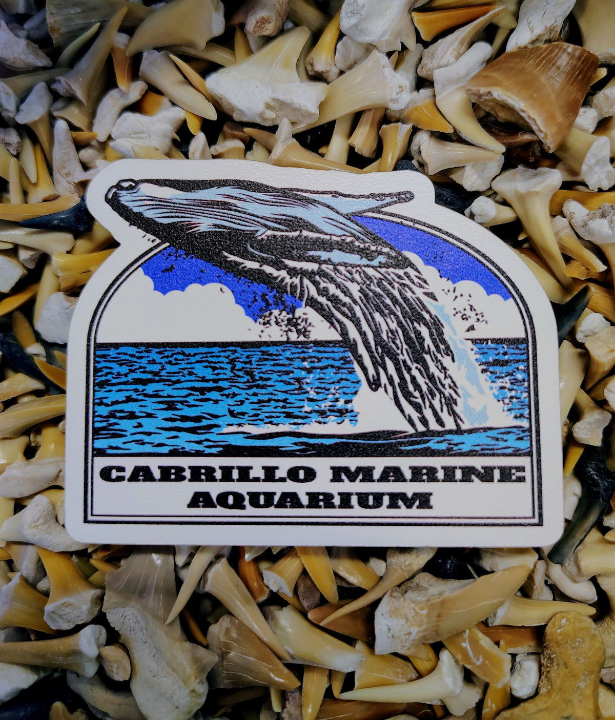 Gray Whale Breaching CMA Magnet