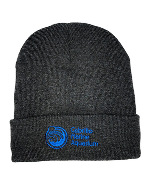 CMA Beanies