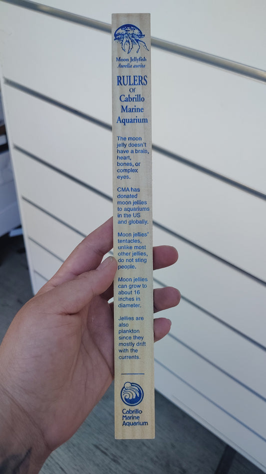 CMA AQUATIC RULER wood