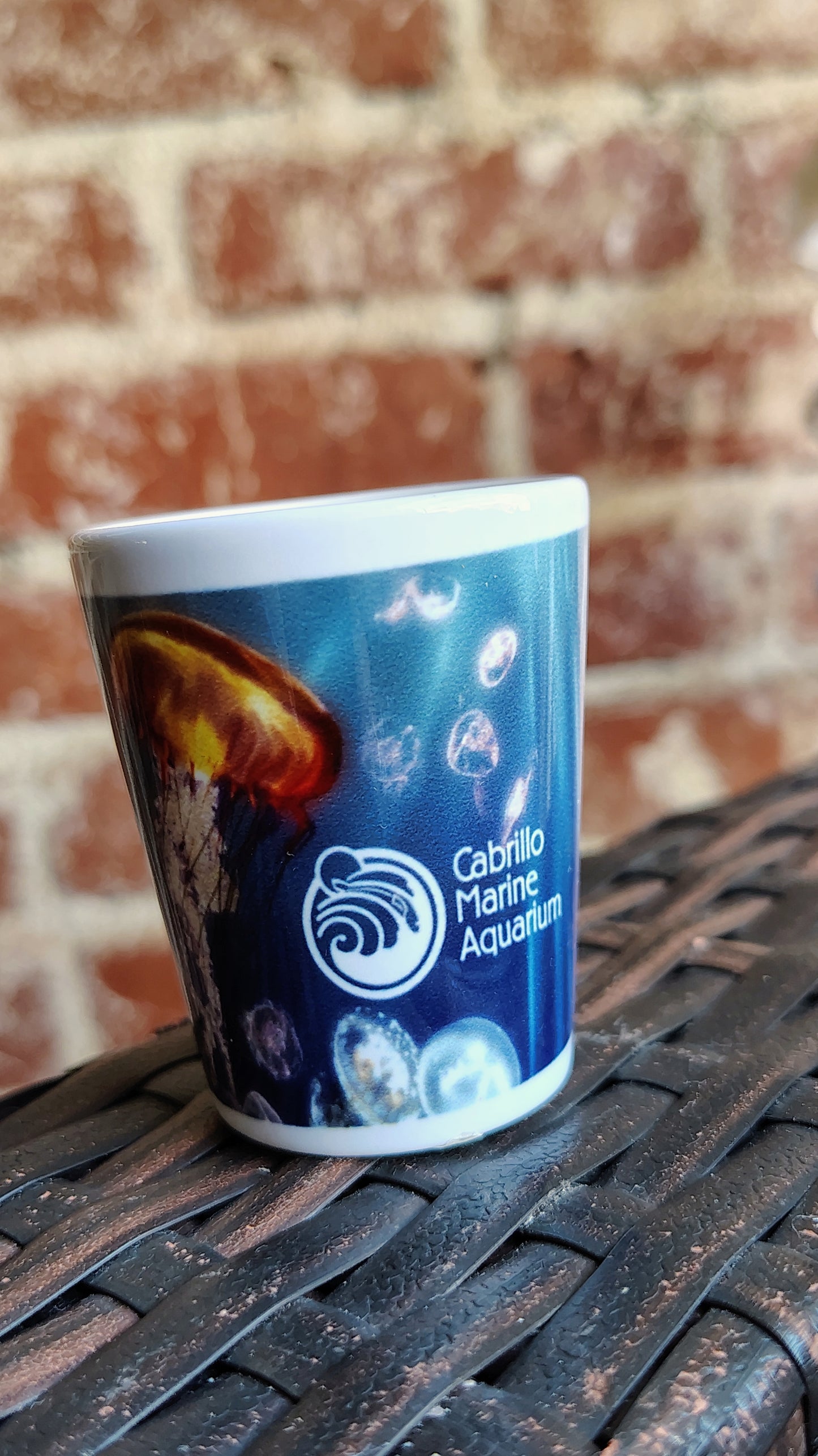 CMA JELLYFISH SHOT