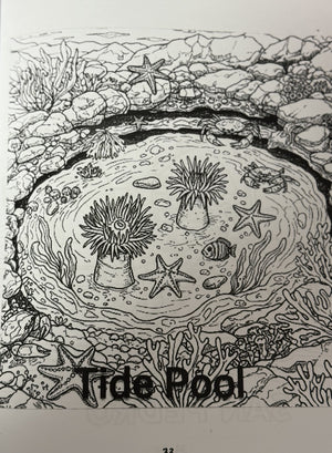 SAN PEDRO COLORING BOOK