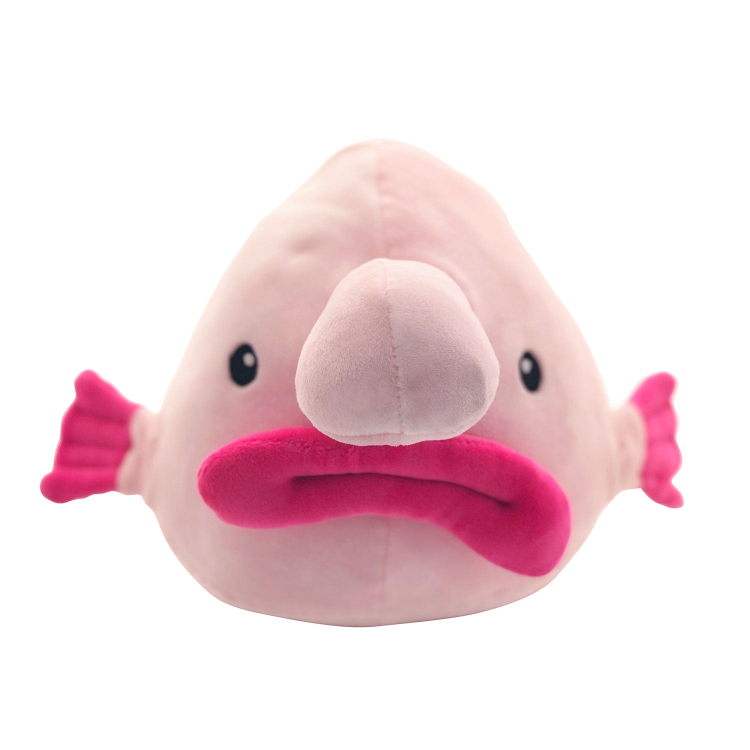 Blobfish - Friends Of Cabrillo Aquarium