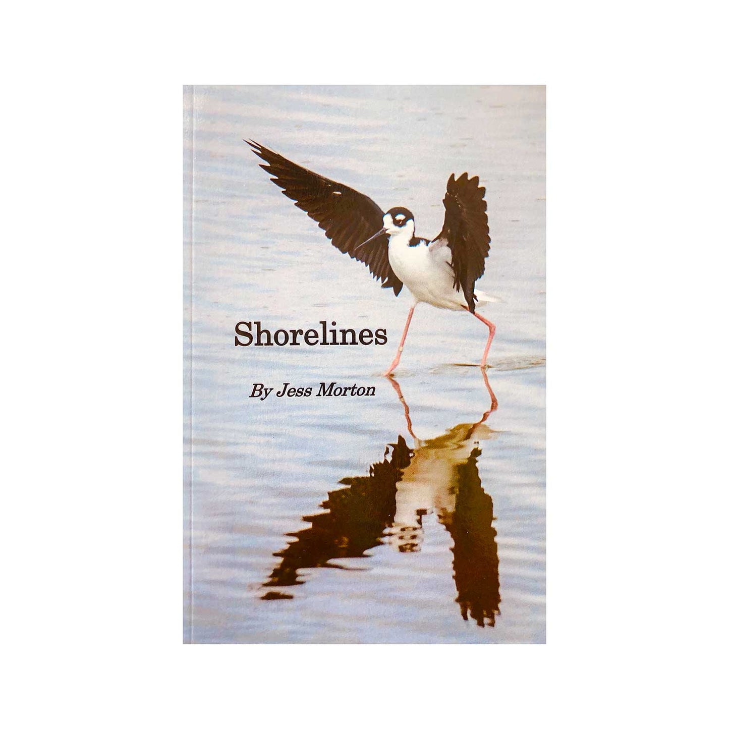 Shorelines