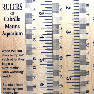 Rulers of Cabrillo Marine Aquarium