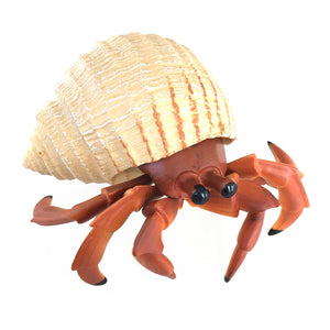 Hermit Crab by Safari